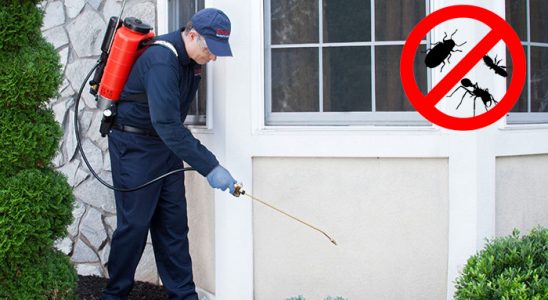 Gökdere Dezenfeksiyon böcek ilaçlama ve haşere kontrolü — ilaclama-tr.com